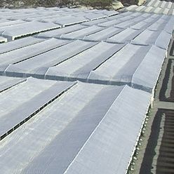 Greenhouse covering film - DURASOL STANDAR - Solplast S.A. - UV protection / recyclable