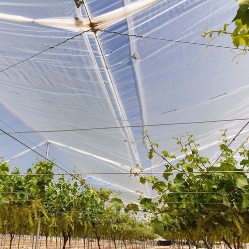 Thermal protective cover - SOLFRUT - Solplast S.A. - recyclable