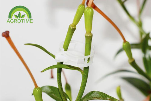 Plastic plant support clip - CHINA AGROTIME - for tomatoes / hook