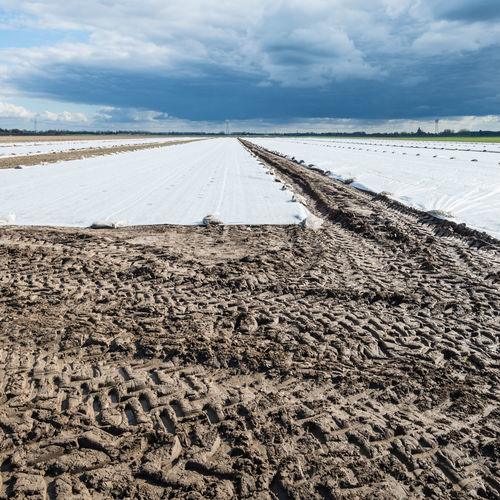 Soil cover film Hyma Plastic plastic / UVresistant / transparent