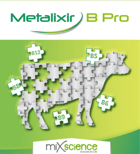 Cattle feed additive - Metalixir B Pro - MiXscience - dry