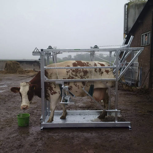 Cow squeeze chute - MANUAL - Eko Hoofcare - hoof-care