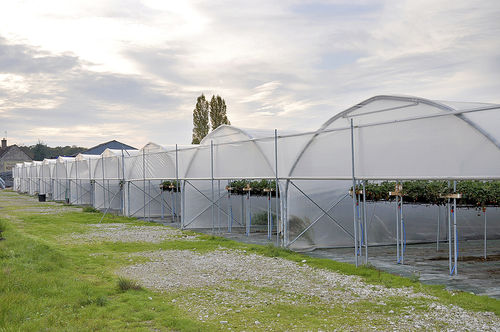 Tunnel type greenhouse - NUMERIS - FILCLAIR SAS - steel frame