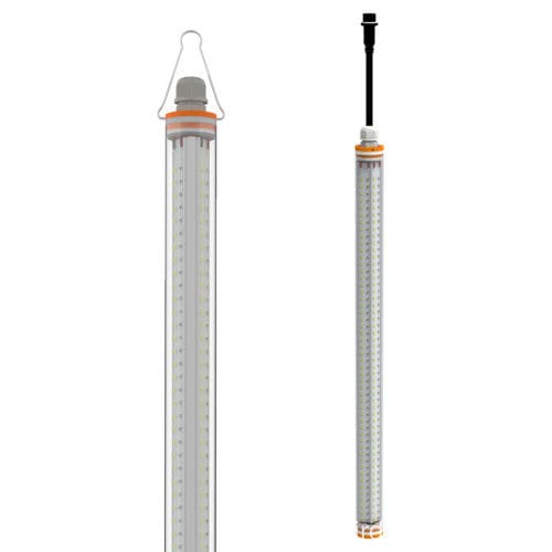 Light for livestock buildings - ACL-T12-L - Shenzhen AMB Technology Co., Ltd. - LED / dimmable / for poultry