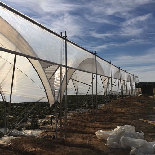 Greenhouse door - TÉCNICAS SANJORGE SL