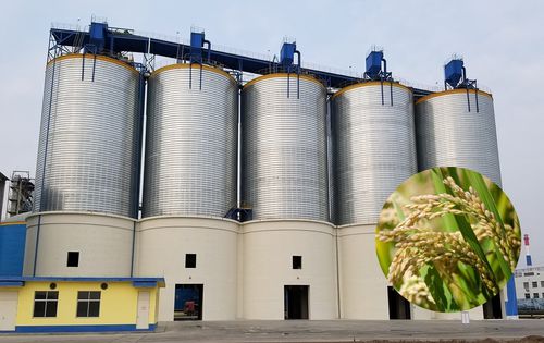 Grain silo - TCK series - SRON SILO ENGINEERING - galvanised steel / with flat-bottom / with screw conveyor