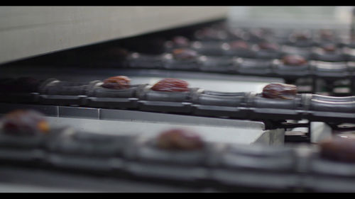 Fruit sorting machine - Quadra Machinery - optical