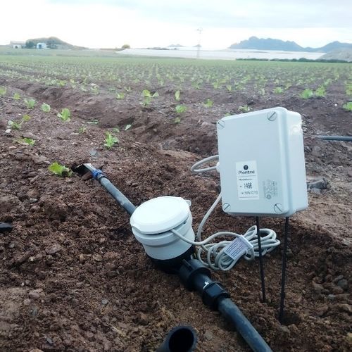 Magnetic flow meter - Plantae - irrigation