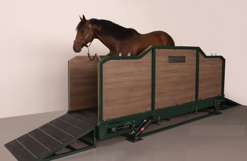 Inclined equine treadmill - EQUIBOARD - walk