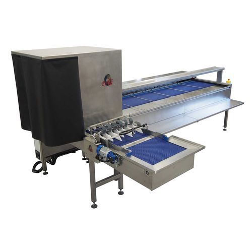 Egg grader - S121 - RIVA SELEGG SRL - egg candling