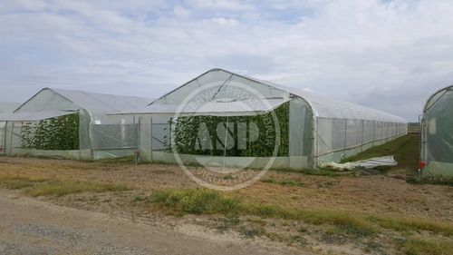 Monotunnel greenhouse - Agroservis - proizvodnja d.o.o. - gardening / steel frame / permanent