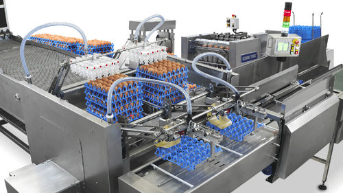 Hatching egg egg transfer system - Sime-Tek S.p.A. - automatic