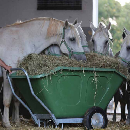 Wheelbarrow - TRIPLE - ROTO PAVLINJEK d.o.o.
