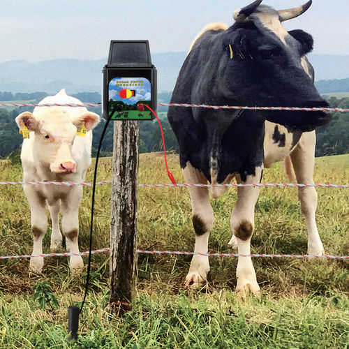 Solar-powered fence energizer - SLA series - YYK BARN TECH LTD - portable / rechargeable / digital