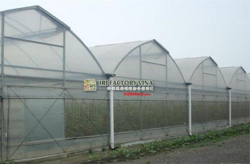 Shade netting - TYPE B - IRIFACTORY VINA - wind protection / insect / anti-bird