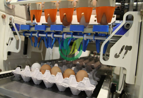 Egg packing machine - Chengdu Shengxing Poultry Machinery Co., Ltd. - automatic
