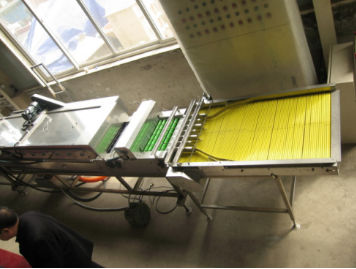Egg conveyor - Chengdu Shengxing Poultry Machinery Co., Ltd. - chicken / roller / grading