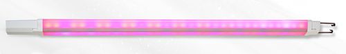 Greenhouse light - Flamingo - Fujian Sanan SINO-SCIENCE Photobiotech Co., Ltd. - LED / interior / red