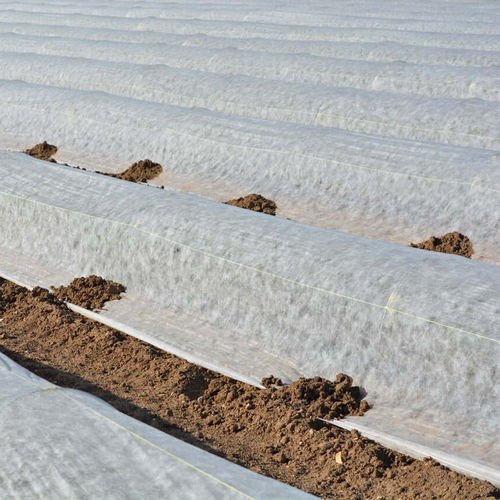 Greenhouse sheeting - Mineravi - plastic / thermal
