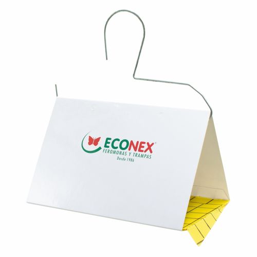 Insect trap - TA188 - SANIDAD AGRICOLA ECONEX S.L. - glue