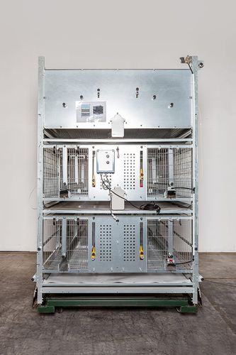 Pullet farming system - Specht – Ten Elsen GmbH & Co KG