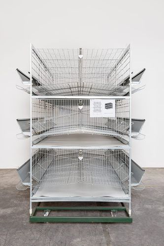 Nest box - Specht – Ten Elsen GmbH & Co KG
