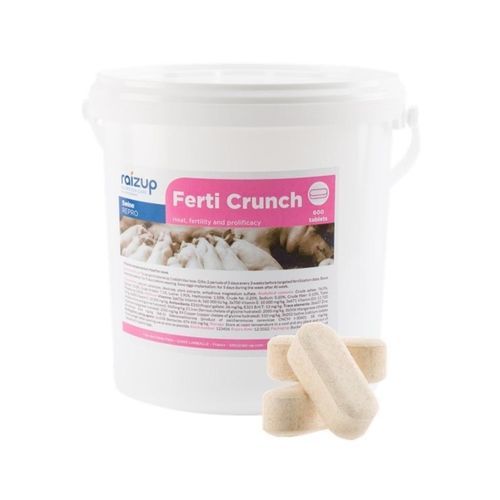 Animal feed supplement - Ferti Crunch - RAIZUP NUTRITION CARE - sow / antioxidant / vitamin