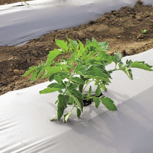 Greenhouse sheeting - Fabricación de agrotextiles y distribución de Accesorios para Invernaderos. - weed control / for soil disinfection / plastic