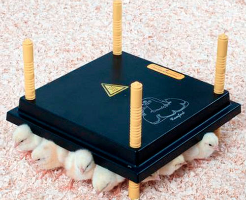 Electric heating plate - F.I.E.M. S.R.L. INCUBATORS & HATCHERS - for chicks