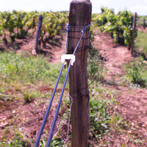 Trellis wire - SPEED FRANCE