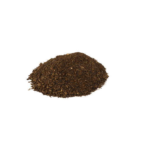 Soybean seed - Proxyrap - DANIS