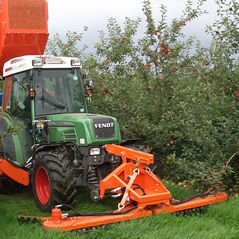Orchard sweeper - Centipede - Tuthill Temperley - mounted / front-mount