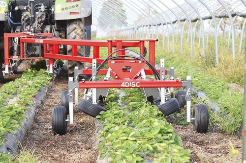 Strawberry crop trimming machine - RANEX - 4Disc GmbH - mounted