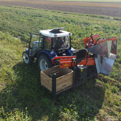 Harvester machine with pallet box - WERINGEN RVE-1 with pallet box - Weringen - vegetable / parsley / tractor-mounted