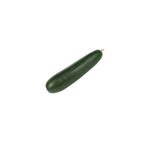 Powdery mildew resistant cucumber seed SOCRATES F1 Graines Voltz