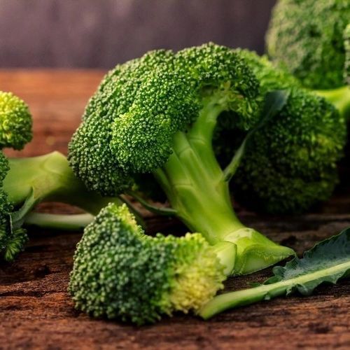 Autumn brocoli seed - Calabrese - MSL GmbH & Co. KG - biological