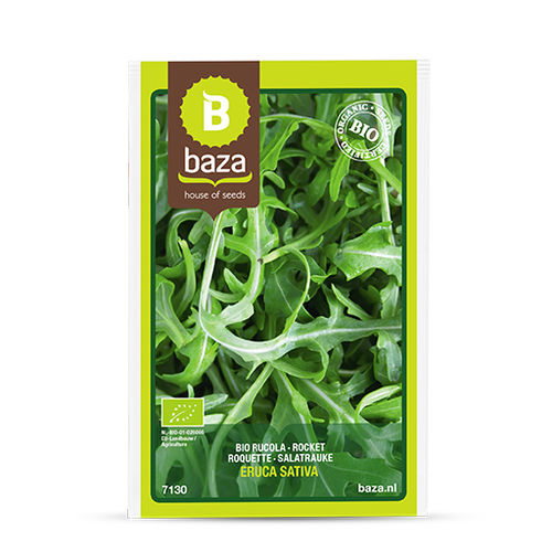 Biological wild rocket seed - 7130 - BAZA Seeds Holland b.v.