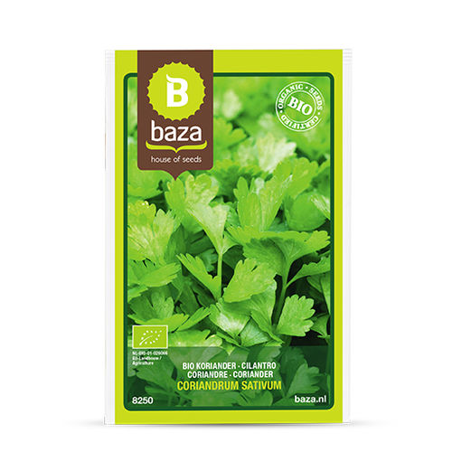Biological coriander seed - 8250 - BAZA Seeds Holland b.v.