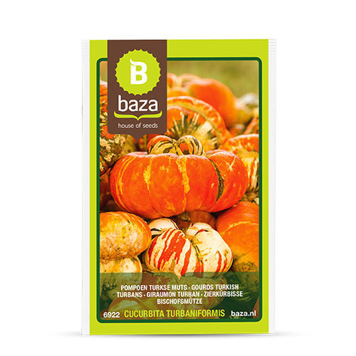 Annual pumpkin seed - Gourds Turkish turbans - BAZA Seeds Holland b.v.