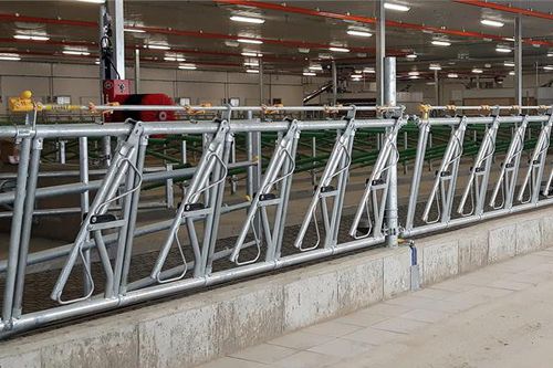 Cow feeder panel - Condon Engineering - self-locking / tubular / adjustable