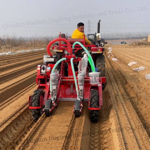 Radish precision seed drill - 2BS1-2H - Qingdao Dashun Jingfeng Agricultural Machinery Co., Ltd. - air / 2-row / vegetable