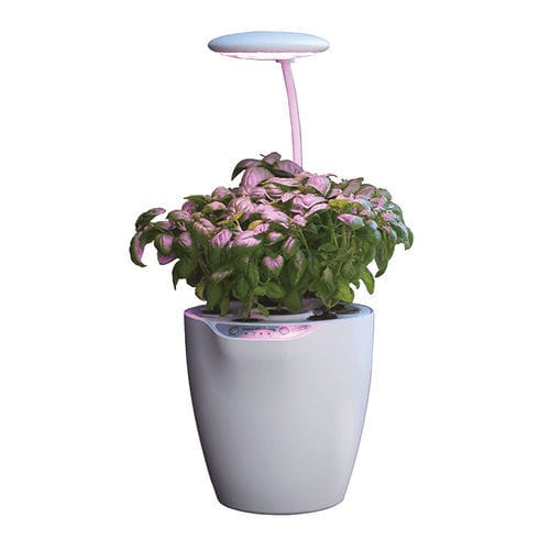 Hydroculture pot - DUO  - Resyx GmbH - Litrax - plastic / round