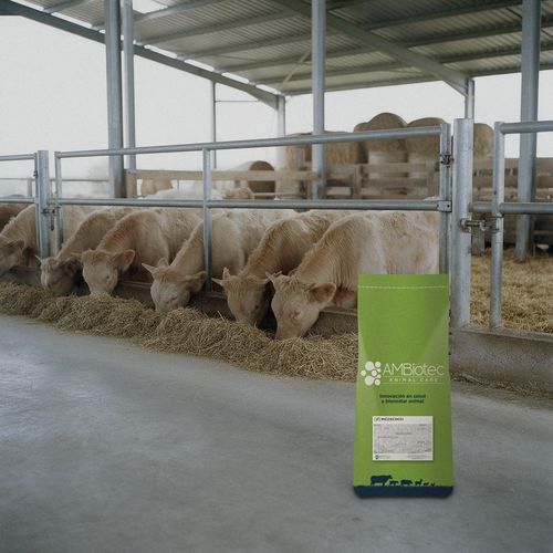 Animal feed supplement - MICOXCOCCI - AMBiotec - cattle / sheep / mineral