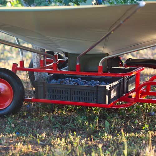 Harvester machine with leaf blower - 05C25 - HARVEST - AGRAS D.O.O. - olive / plum / for sour cherry