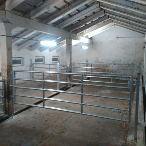 Livestock gate - GATG421 - AHI - FARM CAMARA - stable / for cows / metal