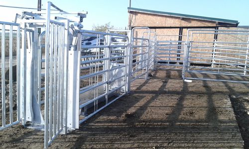 Sorting loadout - SORA16.3000 - AHI - FARM CAMARA - for cattle / veterinary