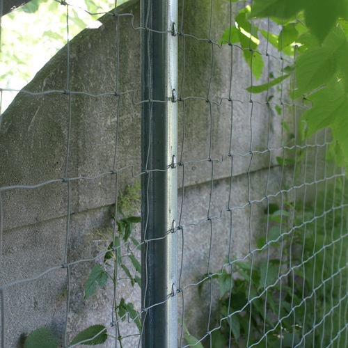 Fence post - Farmmesh - trellis / metal / vineyard
