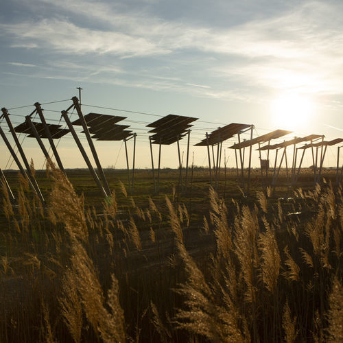 Crop agrivoltaic structure - Agrovoltaico® - REM TEC SRL