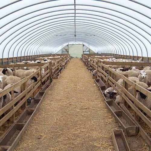 Tunnel film - WHITEUVI - NP STRUCTURES - polyethylene / transparent / white