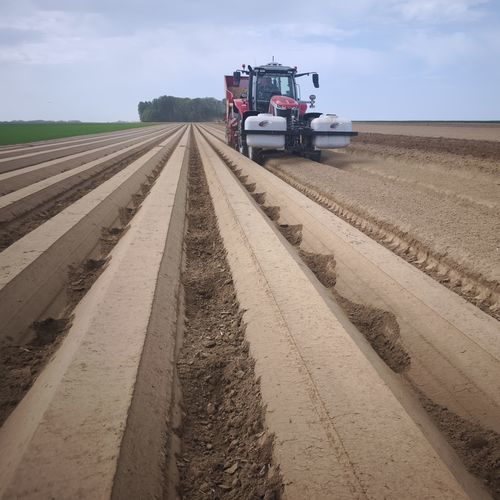 Potato planter anti-erosion system - ErofiX - GAM Agri Pièces - mounted